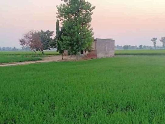 Contract farming is changing the fortunes of farmers, writing new prayers
