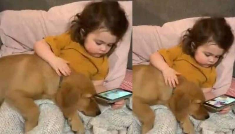 little girl watches video with pet dog viral