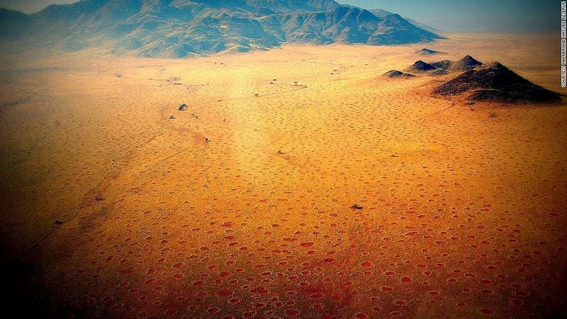 Mystery over fairy circles appearing in African desert finally solved