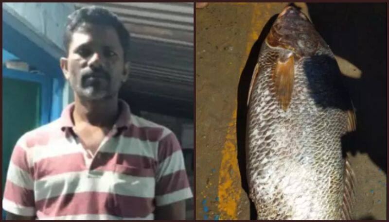 Guntur fisherman nets rare Ghol fish gets Rs 1.4 lakh