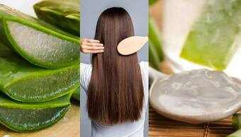 Hair Care: కలబంద జుట్టును ఇలా జుట్టుకు రాస్తే చాలు, ఒక్క వెంట్రుక కూడా రాలదు