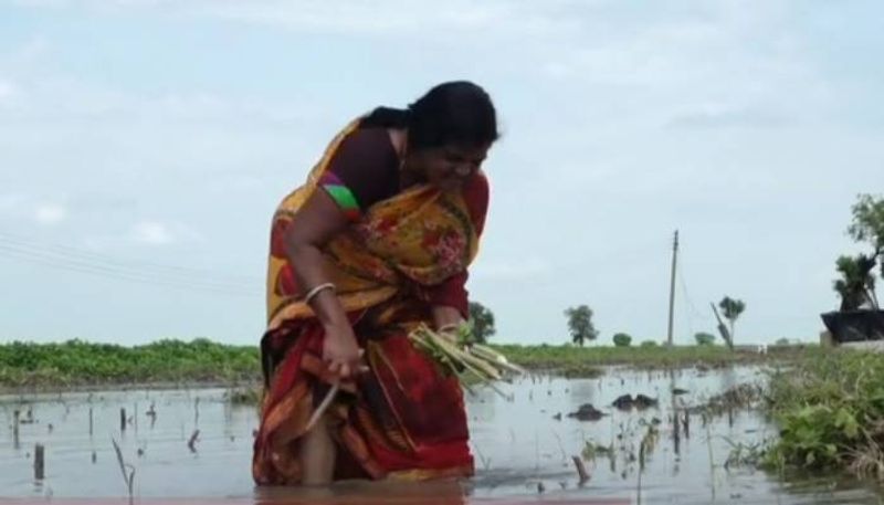 after the suicide of three men in family Jyoti Deshmukh took over family land