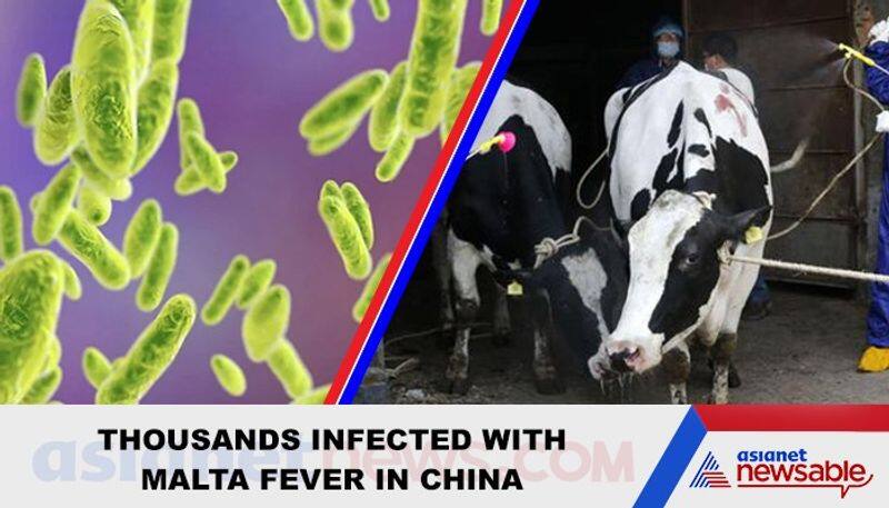 Thousand Infected with Malta Fever in China