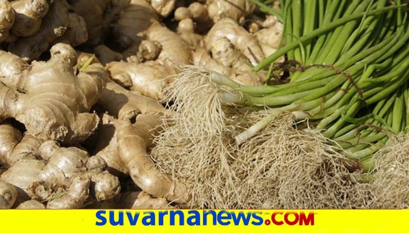 Mysore ginger export to Malaysia snr