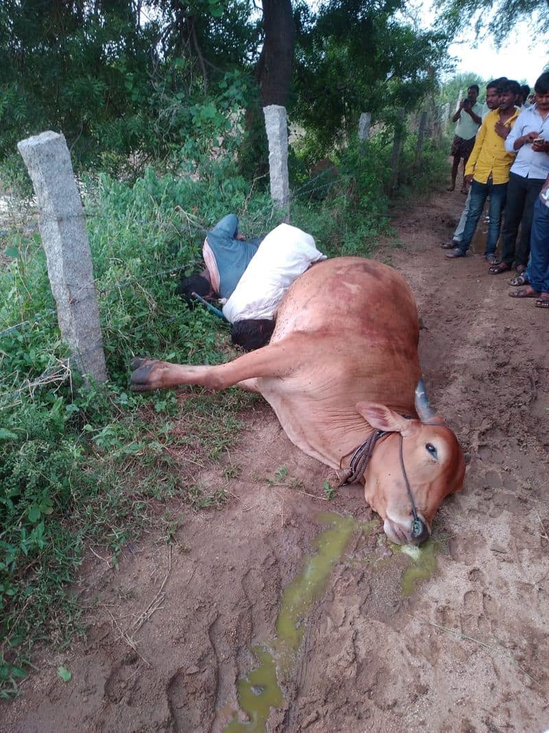 Two farmers  electrocuted to death at yadgir on Sept 28 rbj