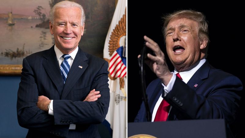 Polls put Joe Biden ahead of Donald Trump in race to White House