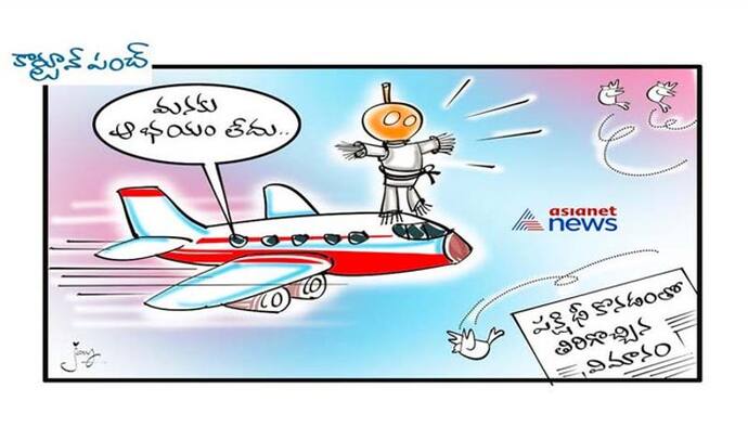 <p>cartoon</p>
