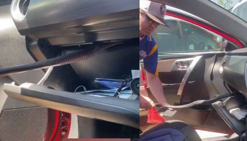 Viral video of Snake Hitches Ride With Woman In Glove Box