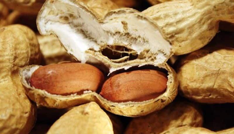 how to compost Peanut Shells