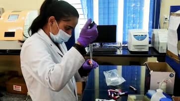 Equine Biotech, startup incubated at IISc,  develops indigenous RT-PCR diagnostic kit