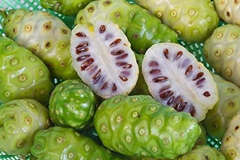 Exotic fruits from around the world you must try once in your life-dnm