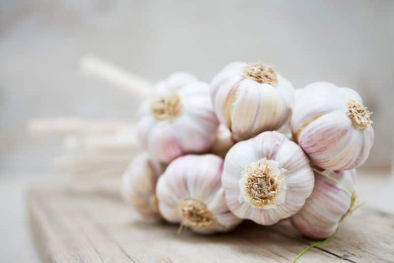 7 lesser-known uses of Garlic