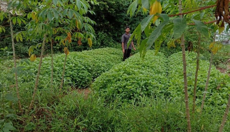 agricultural success story Fahad Ahammed from Narikkuni