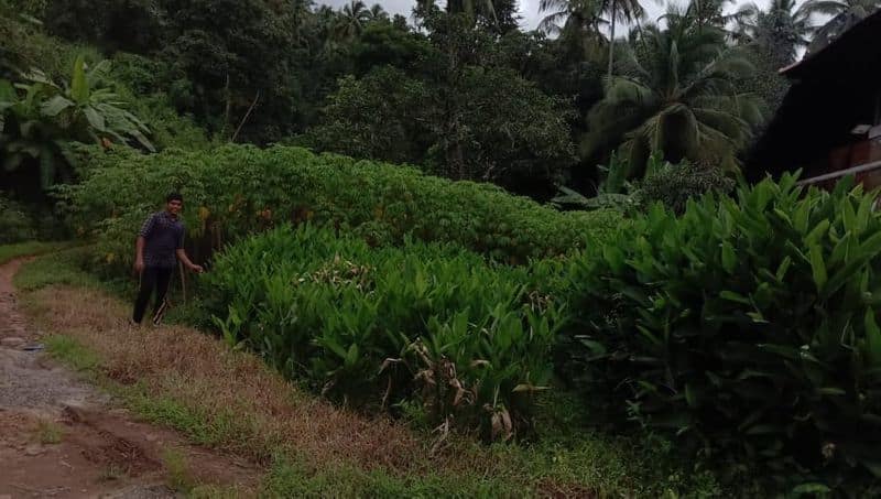 agricultural success story Fahad Ahammed from Narikkuni