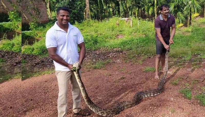 Man saves his dog from 20 feet python