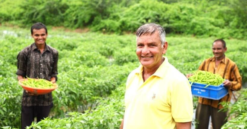 किसान ने तोड़ी सदियों पुरानी परंपरा और मिर्च की खेती कर अन्य किसानों के लिए बने 'प्रेरणा'