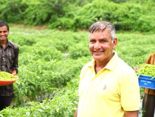 Farmer broke centuries-old tradition and 'inspiration' made for other farmers by cultivating chillies