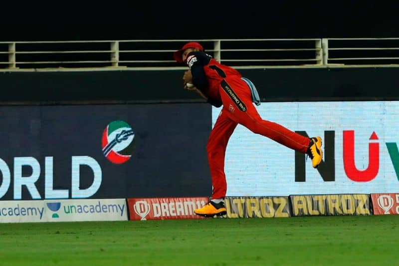 ipl 2020 rcb vs dc live updates watch Devdutt Padikkal catch out Shreyas Iyer