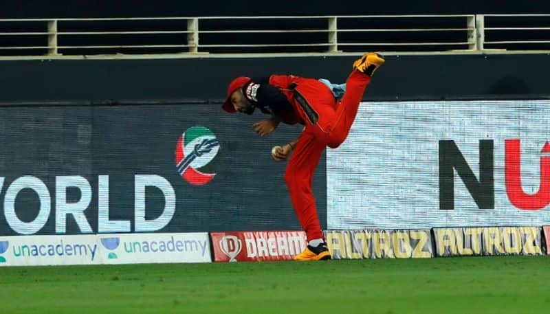 ipl 2020 rcb vs dc live updates watch Devdutt Padikkal catch out Shreyas Iyer