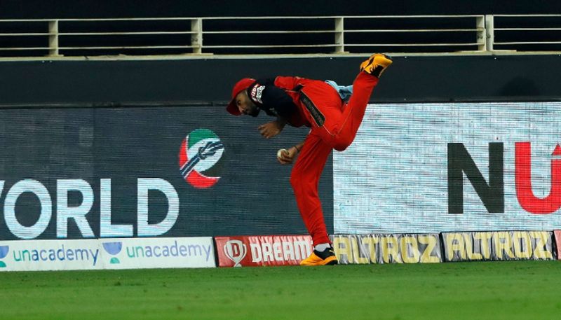 ipl 2020 rcb vs dc live updates watch Devdutt Padikkal catch out Shreyas Iyer