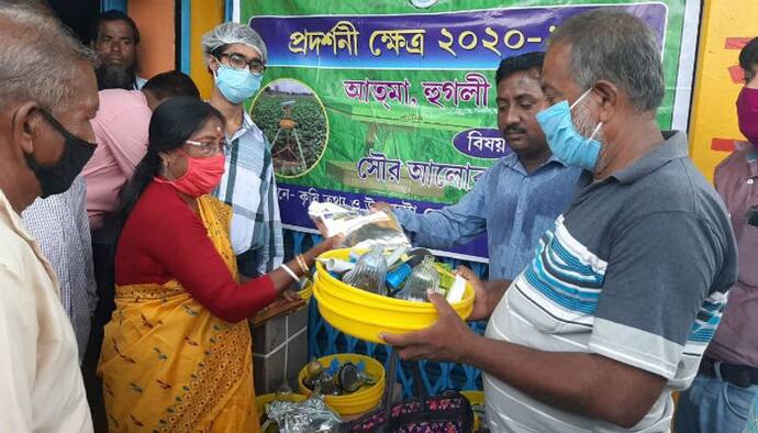 জমির ফসল খাচ্ছে পঙ্গপাল, চাষের জমি বাঁচাতে হাতিয়ার 'সৌর আলোক ফাঁদ'