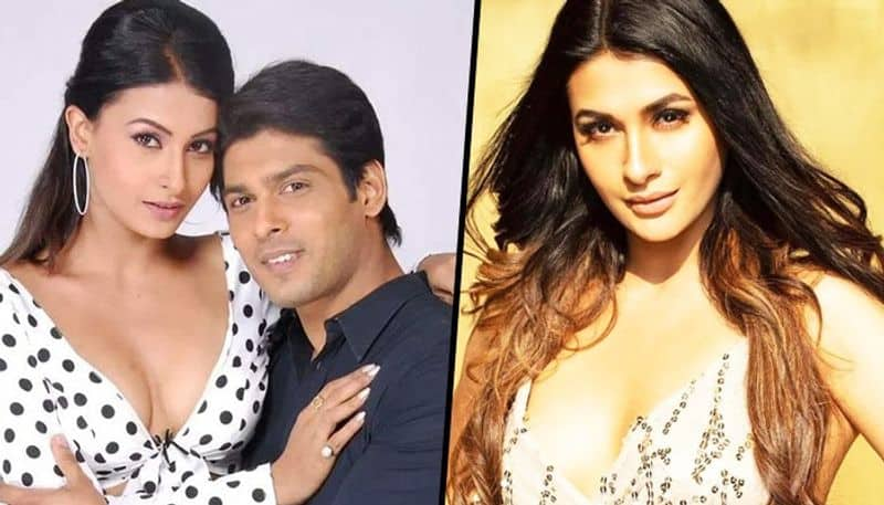 Bigg Boss 14: Is Sidharth Shukla, Pavitra Punia's ex-boyfriend; read this RCB