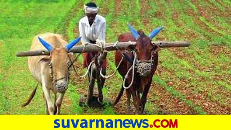 Farmers Did Not Get Corona Compensation in Huvinahadagali in Ballari District