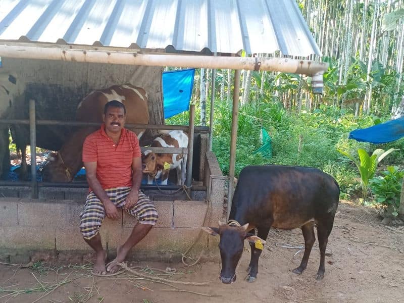 agriculture success story of physical trainer mujeeb from malappuram