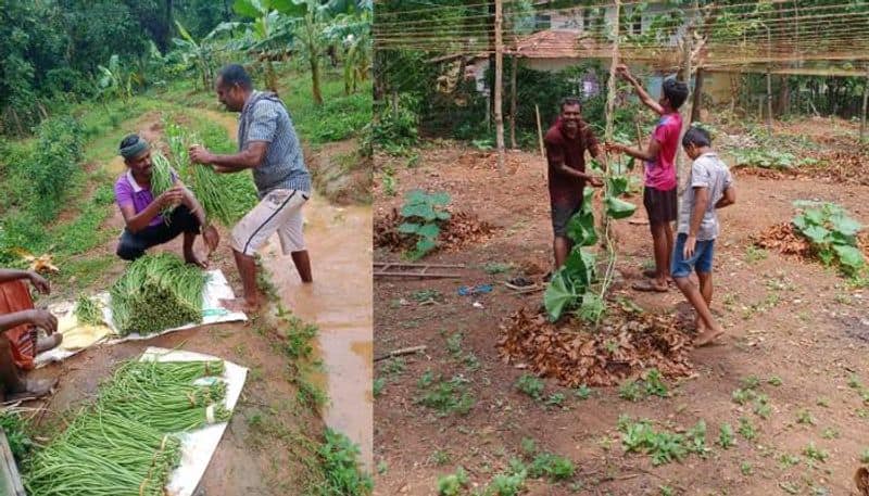 agriculture success story of physical trainer mujeeb from malappuram