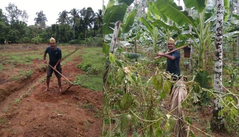 agriculture success story of physical trainer mujeeb from malappuram