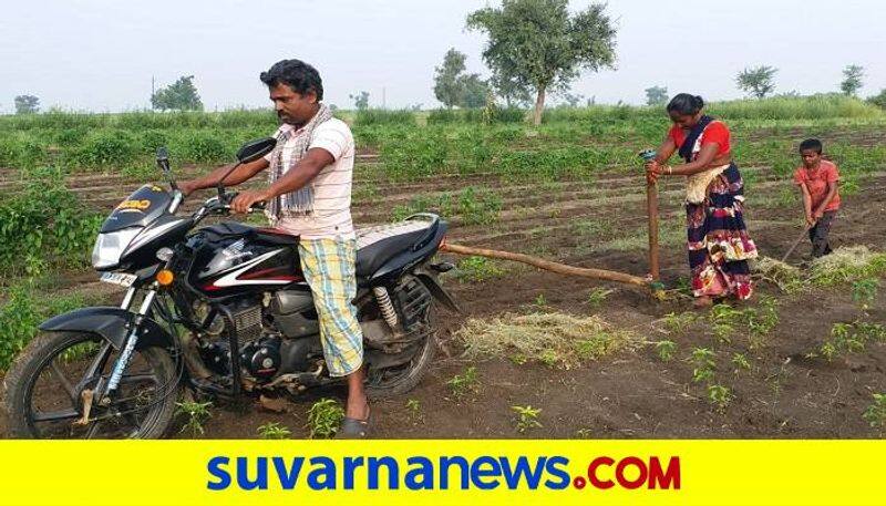 Farmer Sowing by Bike due to Lack of Labors in Ron in Gadag Districtgrg