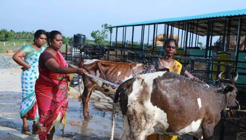 Sandeep Nagar village for Transgender Women