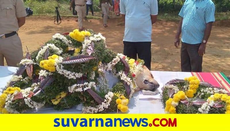 Police Dog Rambo Passes Away in Madikeri grg