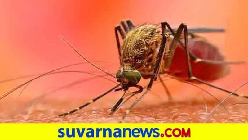 Increasing Chikungunya Cases at Lakamapur in Dharwad grg