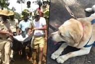 Karnataka Trainers bid teary adieu to Kodagus crime buster dog Rambo