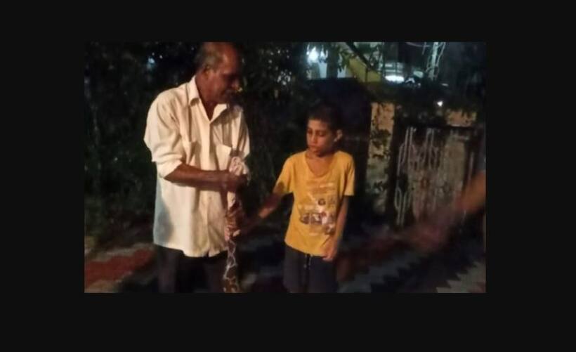 Karnataka: Brave ten-year-old saves himself from a python