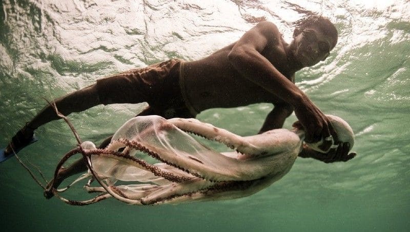 life and death of bajau sea gypsies in indonesia