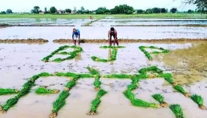 ফ্যাক্ট চেকে দিলীপ ঘোষের শেয়ার করা ছবি, সেটি মিথ্যা বলে দাবি তৃণমূলের