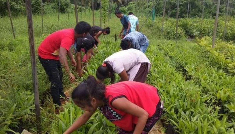 school of agriculture in goa