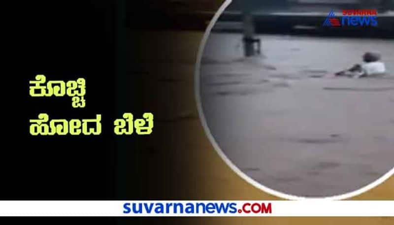 Bagalkot Farmers in Distress After Flood Destroys Crop hls