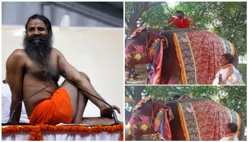 baba ramdev falls from elephant top while teaching yoga