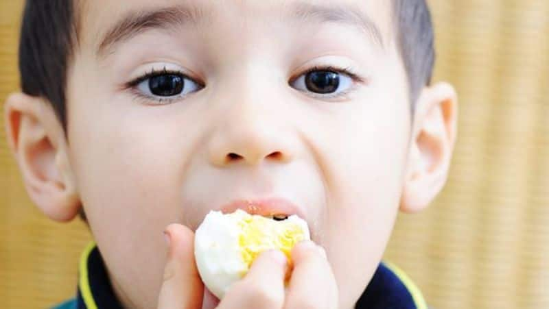 benefits of adding eggs to your kids daily diet in tamil mks