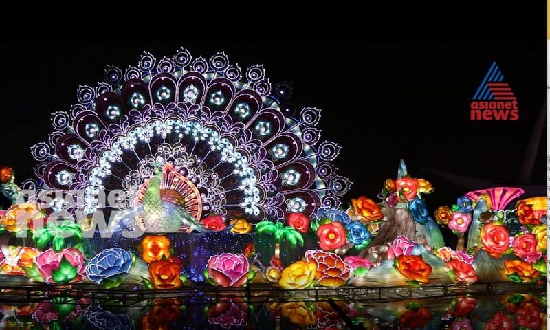 Dubai Garden Glow park is now open to visitors