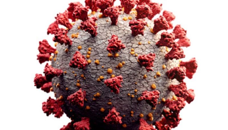 1451 new coronavirus cases recorded in Telangana