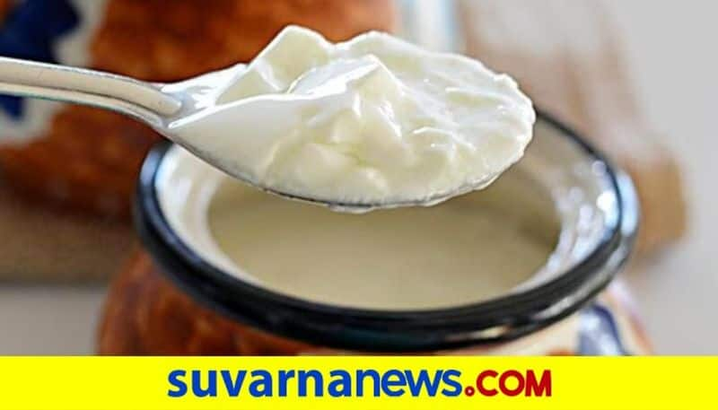 8 tips to set the perfect curd at home checkout here dpl