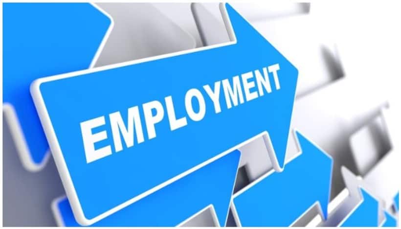 employment