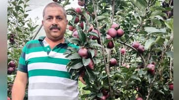 Giving up his job in construction sector, Gopal took to farming; he now earns handsomely