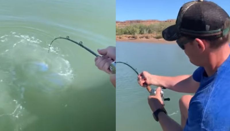 video in which a fisherman accidentally hooked a crocodile