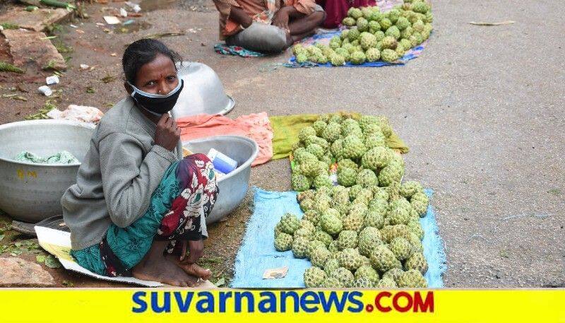 Bumper Price For Sugar Apple snr