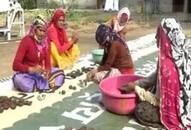 This Diwali, how about some diyas made of cow dung?